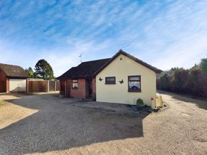 CONIFER CLOSE- click for photo gallery